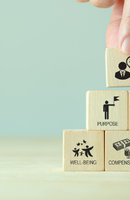 Caring for Wellbeing and a Healthy Lifestyle at DOBA: An Investment in Engagement and Excellence