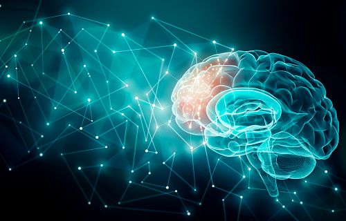 The Leadership Brain: How Neuroscience Helps People to Succeed and Grow