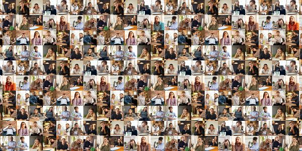 FeedbackFruits for Transparency in Team Assignments